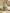 Prehnite jewelry collection by Vonsten Sweden